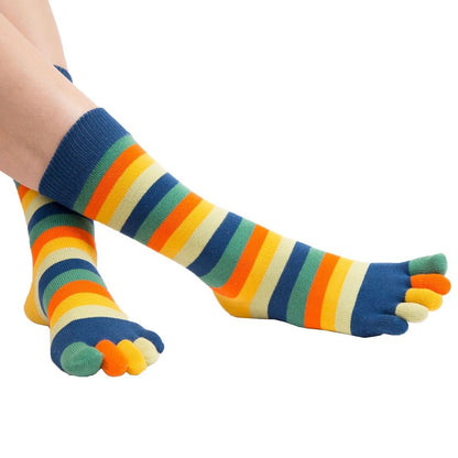 TOETOE Essential Mid-calf Stripy Sunset