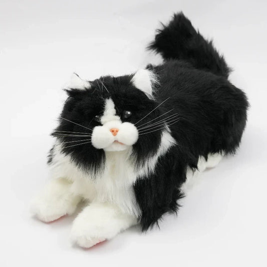 Terapikat til ældre, sort og hvid